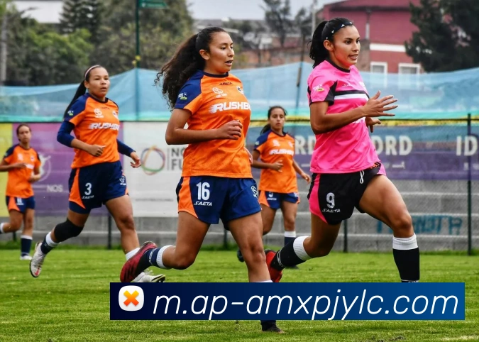 澳门新葡京娱乐APP 高清赛事图